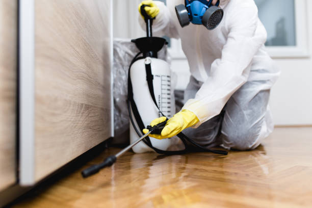 Best Pest Control for Homes  in Lithonia, GA