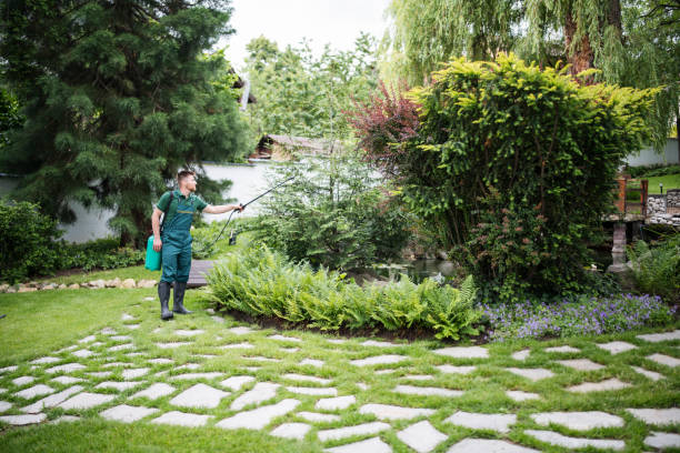 Best Residential Pest Control  in Lithonia, GA