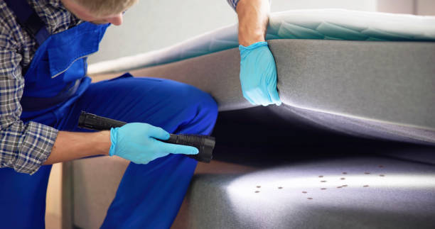 Best Pest Inspection Near Me  in Lithonia, GA