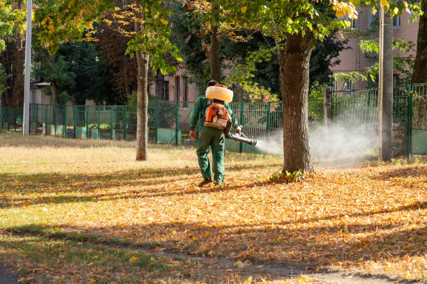 Best Bird Control  in Lithonia, GA