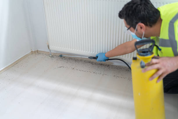 Best Termite Control Services  in Lithonia, GA